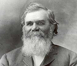 D.Dパーマー画像